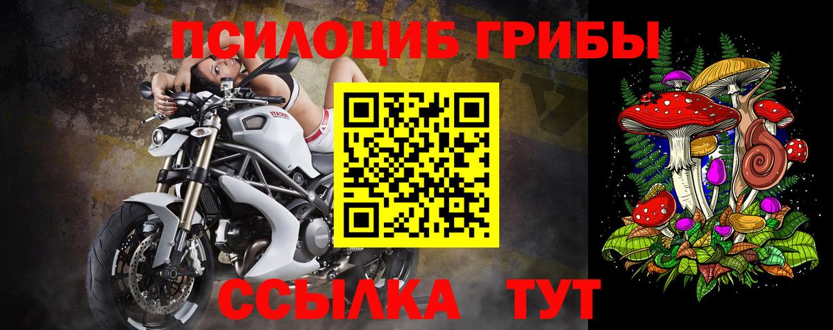 Галлюциногенные грибы Psilocybe  Галлюциногенные грибы Psilocybe  Лесной  Вход с VPN 